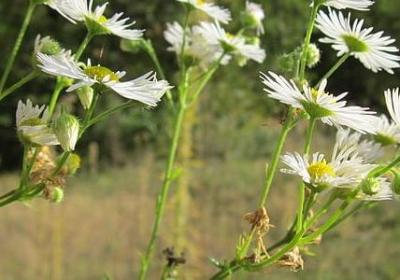 描写人老心不老的句子(合集15句)