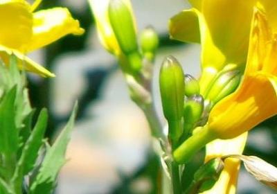 我的人生我做主的句子(精选50句)