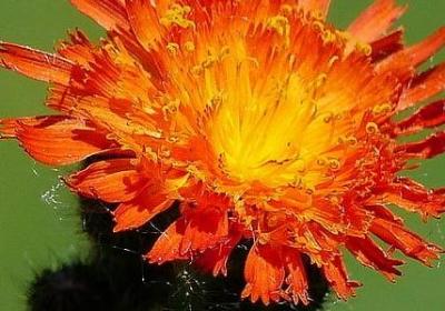 押韵经典的社会短句(推荐53句)