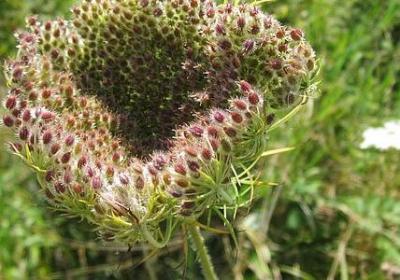 心灵鸡汤正能量短句(通用50句)