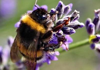 扣扣空间描述短句唯美(实用90句)