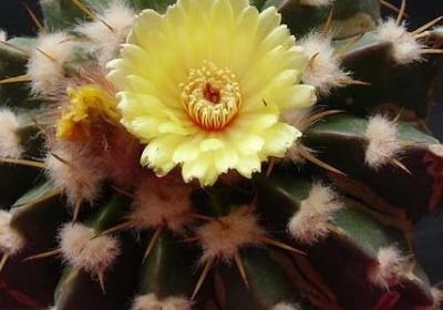 形容云朵的句子(推荐50句)