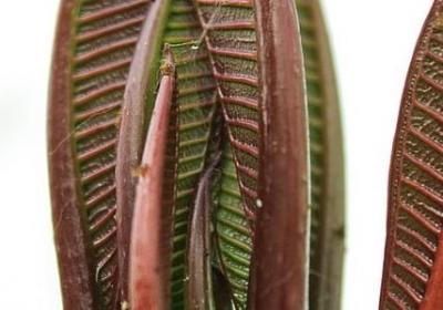 形容秋天短句(汇总7句)