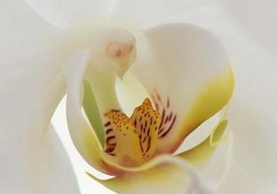 描写冷清豪华房间句子(热门39句)