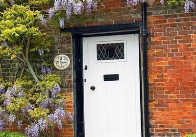 忠于一人的句子(汇总50句)