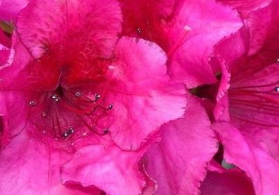 感恩音乐老师的句子(合集10句)