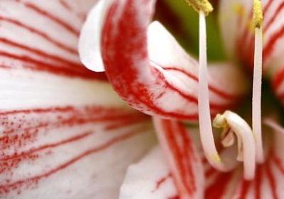 我恨我自己的句子(必备50句)