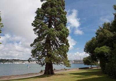 愿时光慢慢走句子(通用51句)