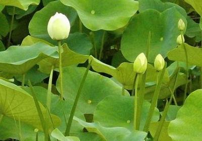 心疼男友的句子(精选20句)