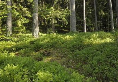 描写桂林漓江的句子(合集50句)