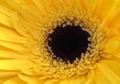 描写登山心情的句子(合集20句)