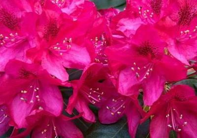 描写春耕的的句子(必备11句)