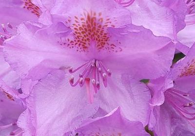 描写美食的优美短句(热门50句)