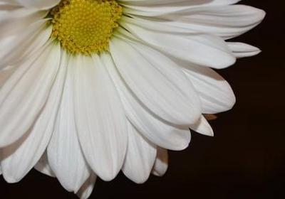 描写绵绵细雨的句子(实用50句)