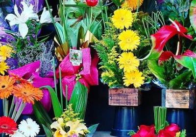 描写蓝天的句子短句(共30句)