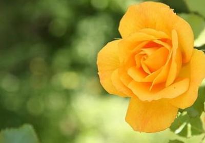 描写空气的句子(精选50句)