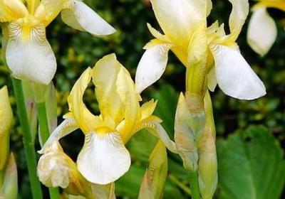 描写炊烟的优美句子(必备57句)