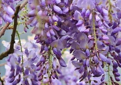 描写白云的句子短句(推荐50句)