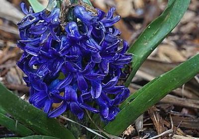 描写老师嘴巴的句子(通用10句)