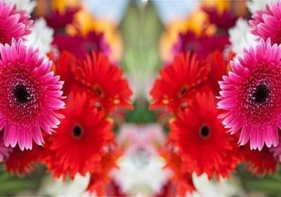 描写虎跳峡的句子(优选51句)