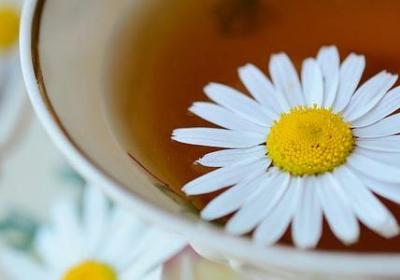 描写草原骑马的句子(推荐16句)