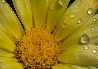 描写秋风萧瑟的句子(10句)