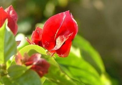 描写秋天的凄凉句子(推荐60句)