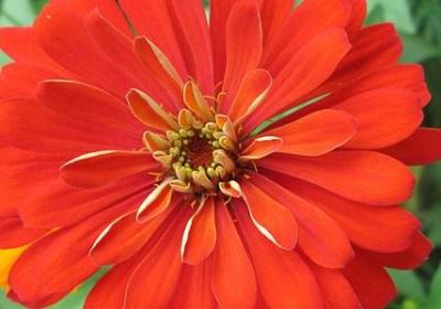 描写爱琴海的句子(共15句)