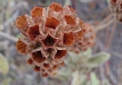 描写父亲动作的句子(必备10句)