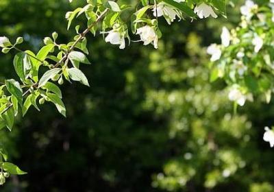 描写老城的句子(实用11句)