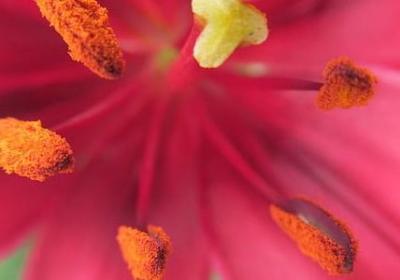 描写清晨的好句子(合集50句)