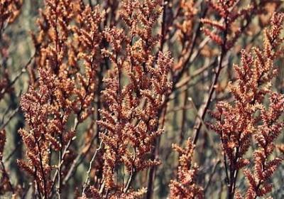 描写老师教学的句子(59句)