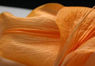 描写西湖唯美短句(合集49句)