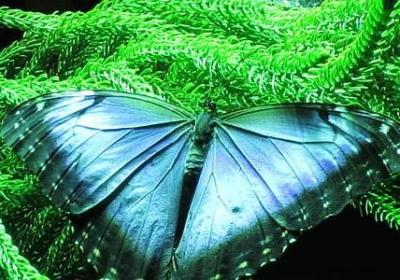 描写秋天景色优美句子(合集9句)