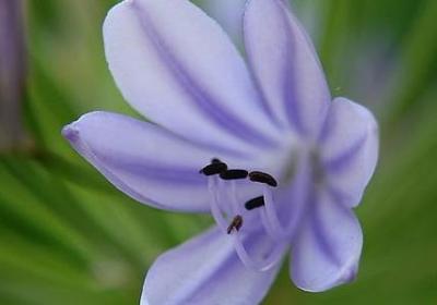 描写秋天的优美短句(汇总67句)