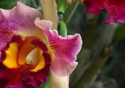 描写男女感情的句子(推荐50句)