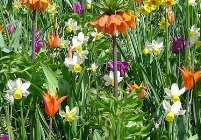 描写秋雨的悲伤句子(必备51句)