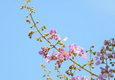 描写父女情深的短句(推荐20句)