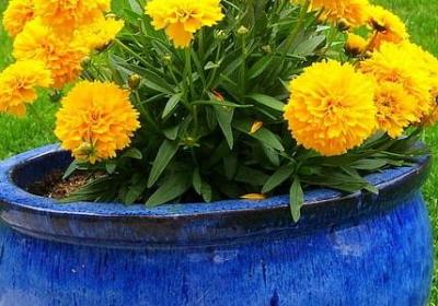 描写秋天景色的短句(50句)