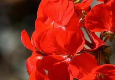 描写男生跳舞的句子(实用17句)