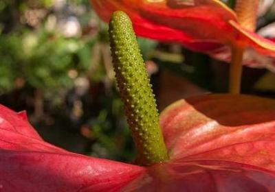 描写画风的句子(热门40句)