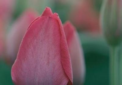 描写男女缠绵的句子(优选1句)