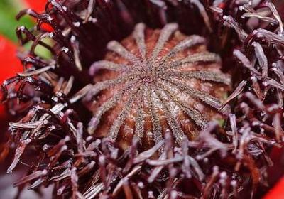 描写炎热的夏天短句(共51句)