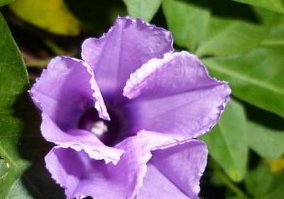 描写男人的句子(精选50句)