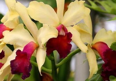 描写科技发展的句子(合集20句)