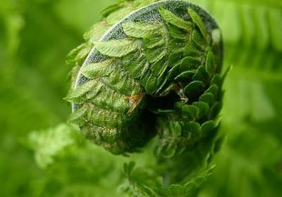 描写秋天天空的句子(优选30句)