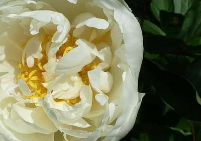 描写珍惜生命的句子(实用50句)