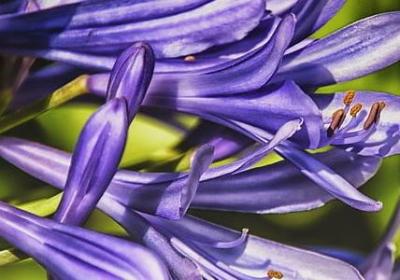 描写粉条的句子(精选50句)