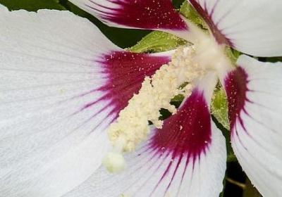 描写游船的优美句子(优选20句)