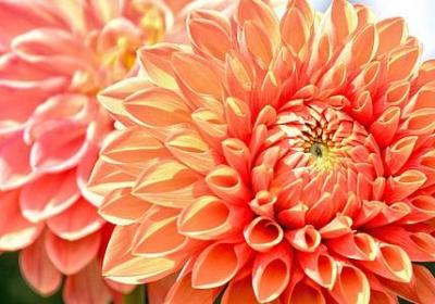 描写秋天景色的优美句子(推荐40句)